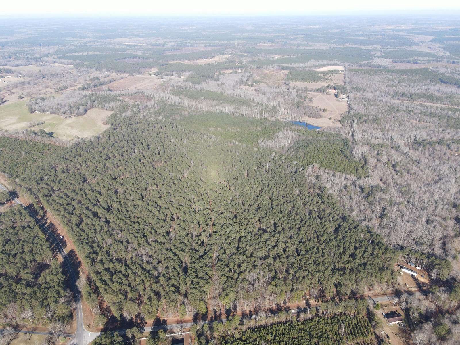 86.4 Acres of Land for Sale in Mitchell, Georgia