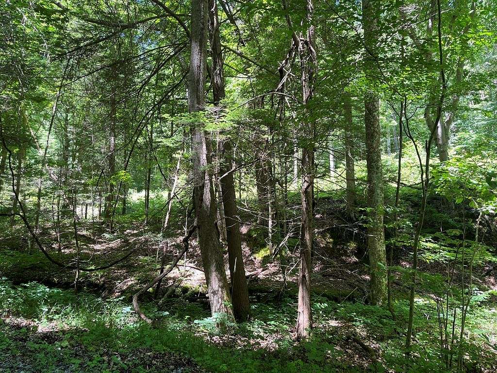 Residential Land for Sale in Princeton, West Virginia