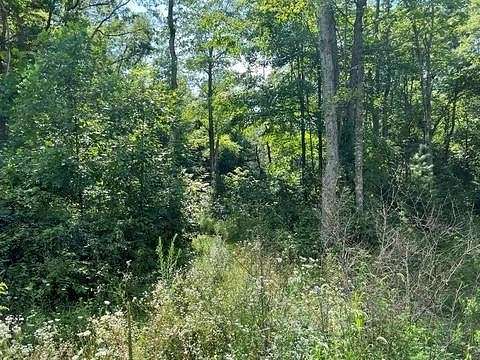 168 Acres of Recreational Land for Sale in Princeton, West Virginia