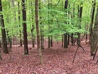0.84 Acres of Residential Land for Sale in Ellijay, Georgia