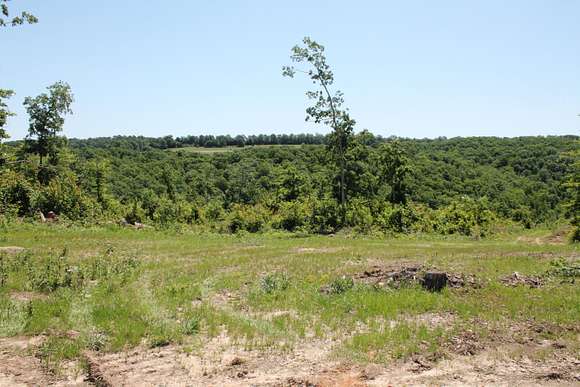 57.3 Acres of Recreational Land for Sale in Witts Springs, Arkansas
