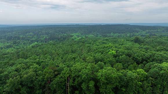 60 Acres of Recreational Land for Auction in Elba, Alabama