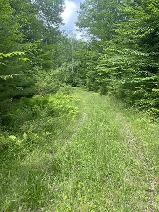 18.2 Acres of Land for Sale in Fayette, Maine