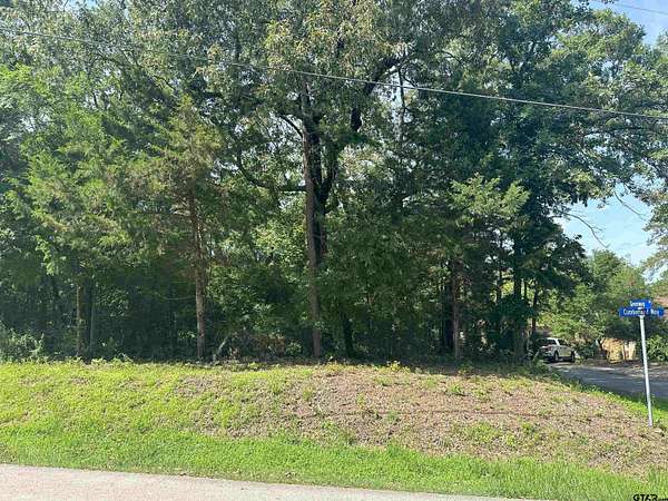 0.38 Acres of Land for Sale in Bullard, Texas