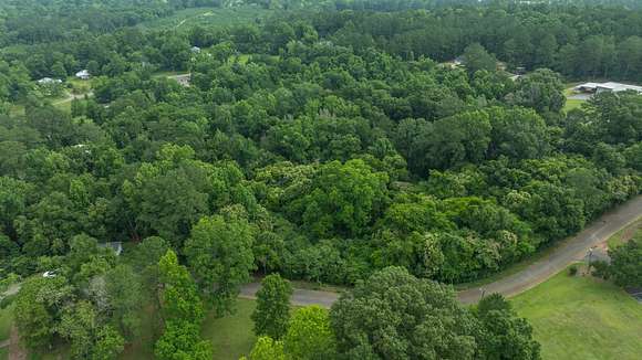 1.3 Acres of Residential Land for Auction in Elba, Alabama