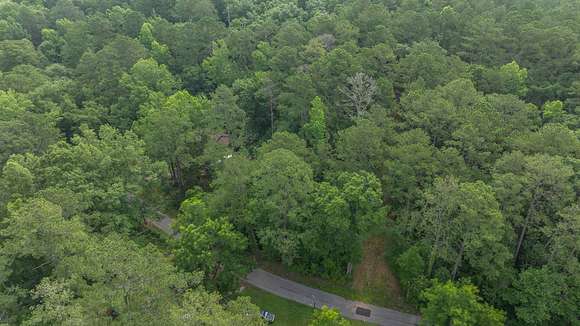 0.22 Acres of Residential Land for Auction in Elba, Alabama