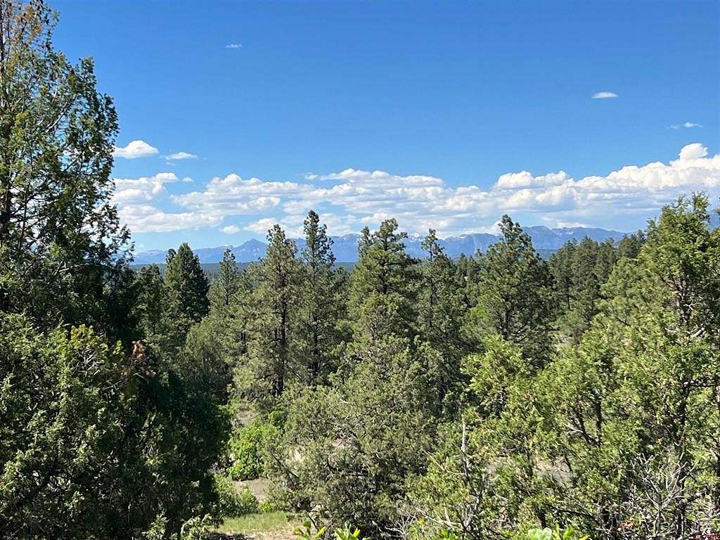 5.29 Acres of Residential Land for Sale in Pagosa Springs, Colorado