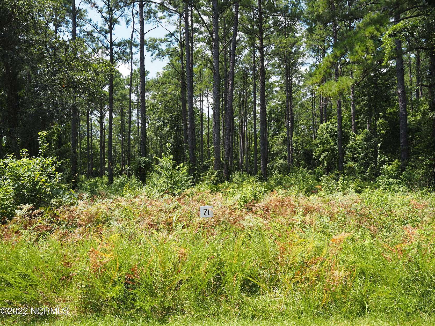 1 Acre of Residential Land for Sale in Havelock, North Carolina