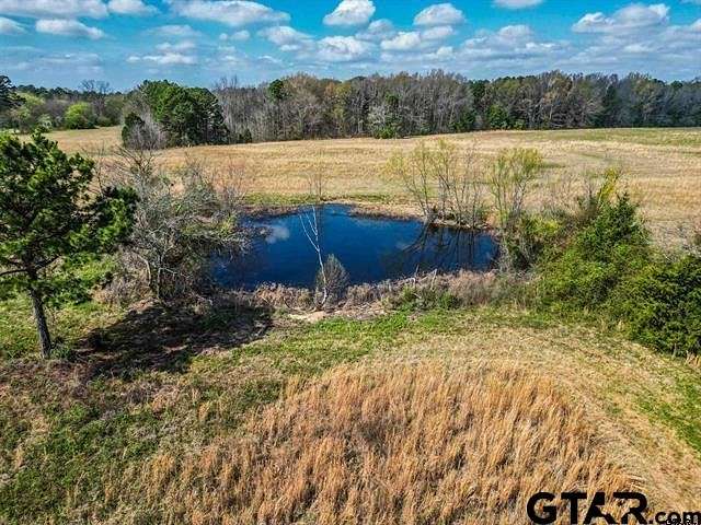 9.3 Acres of Residential Land for Sale in Mount Pleasant, Texas