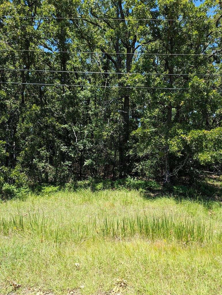 0.3 Acres of Residential Land for Sale in Trinidad, Texas