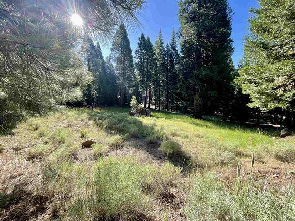 0.38 Acres of Residential Land for Sale in Lake Almanor Country Club, California