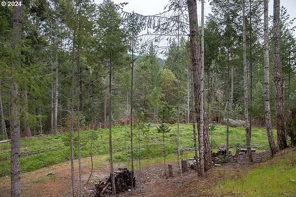 37.3 Acres of Land for Sale in Selma, Oregon