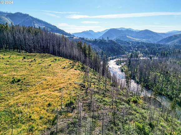 15.4 Acres of Land for Sale in Vida, Oregon