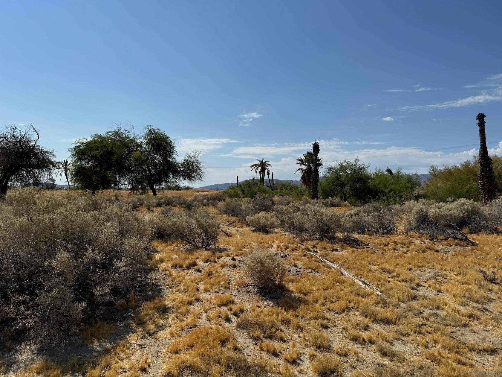 0.19 Acres of Land for Sale in Borrego Springs, California