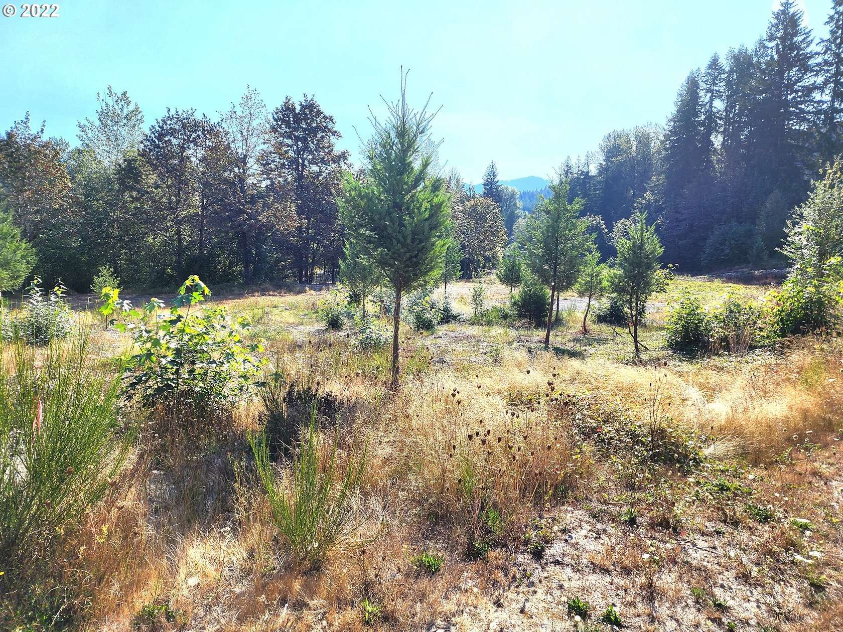 0.33 Acres of Residential Land for Sale in Idanha, Oregon