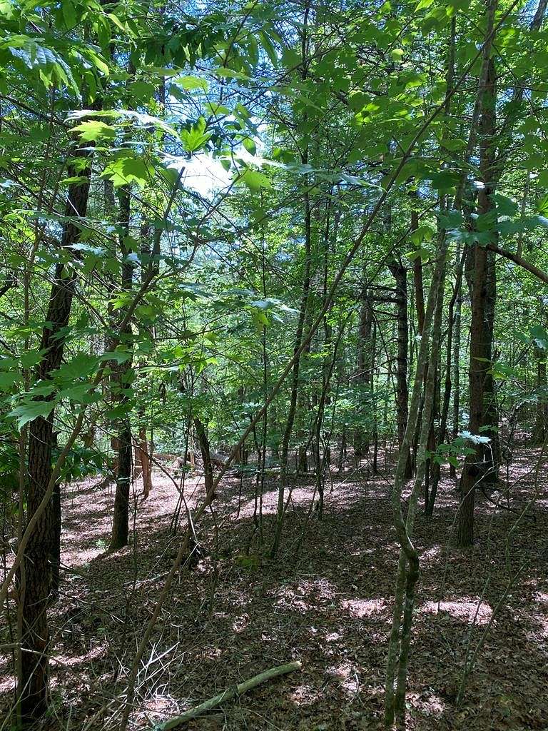 0.86 Acres of Residential Land for Sale in Cowee Township, North Carolina
