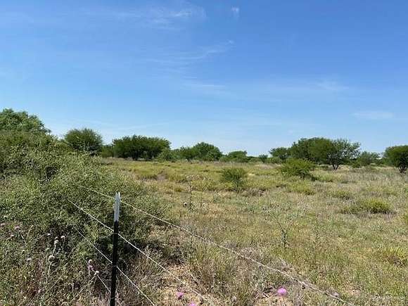 100 Acres of Land for Sale in Santa Elena, Texas