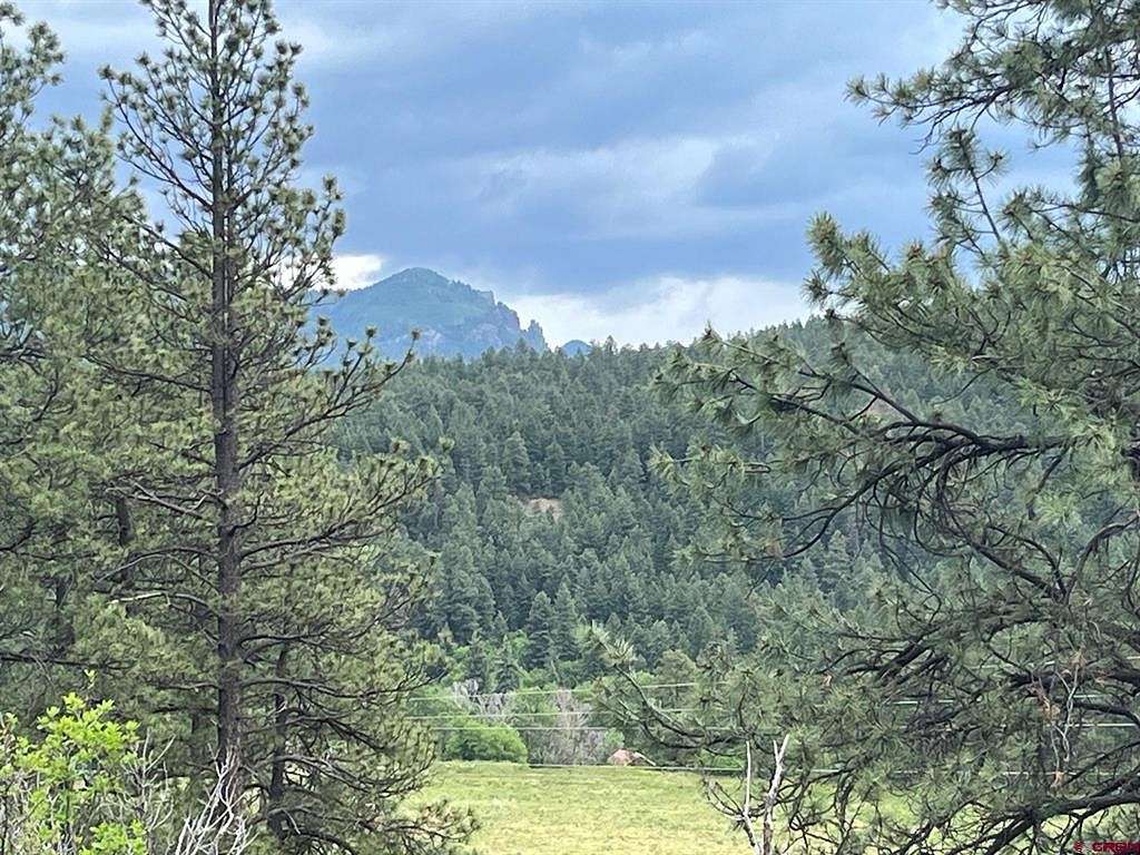 1.5 Acres of Residential Land for Sale in Pagosa Springs, Colorado