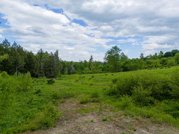 10 Acres of Residential Land for Sale in Leeds, Maine