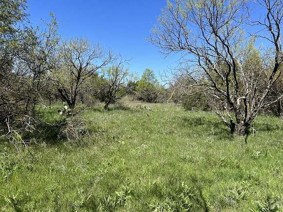 22.24 Acres of Recreational Land for Sale in Cross Plains, Texas