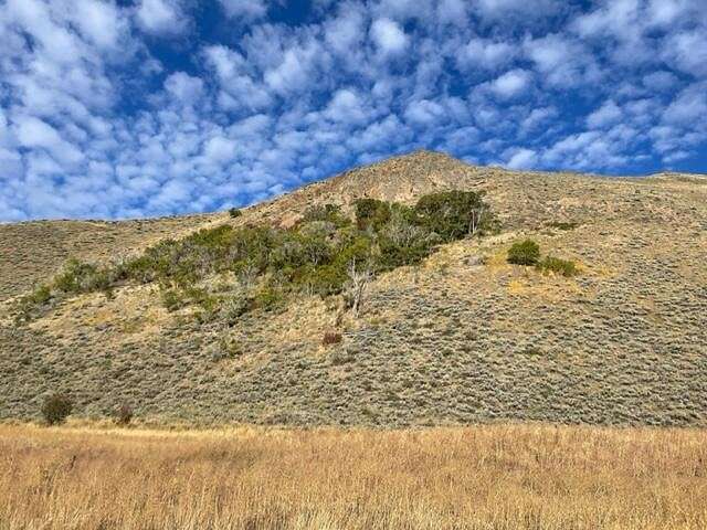 0.27 Acres of Residential Land for Sale in Bellevue, Idaho