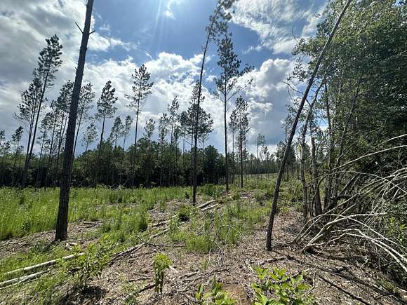 10 Acres of Land for Sale in Baker, Florida