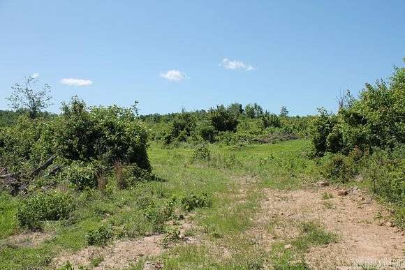 57.3 Acres of Recreational Land for Sale in Tilly, Arkansas