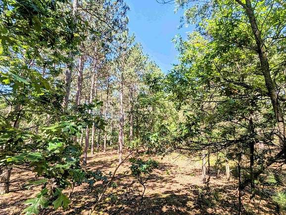 1.5 Acres of Residential Land for Sale in Friendship, Wisconsin