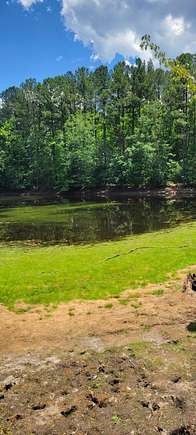 16.9 Acres of Recreational Land for Sale in Ridge Spring, South Carolina