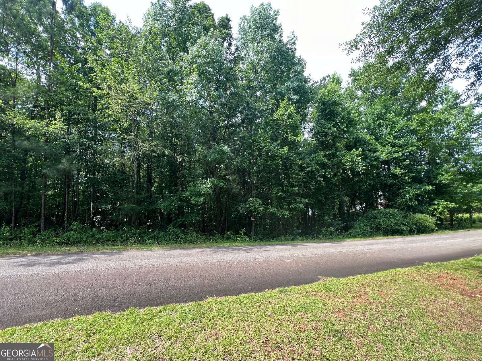 1 Acre of Residential Land for Sale in Thomaston, Georgia