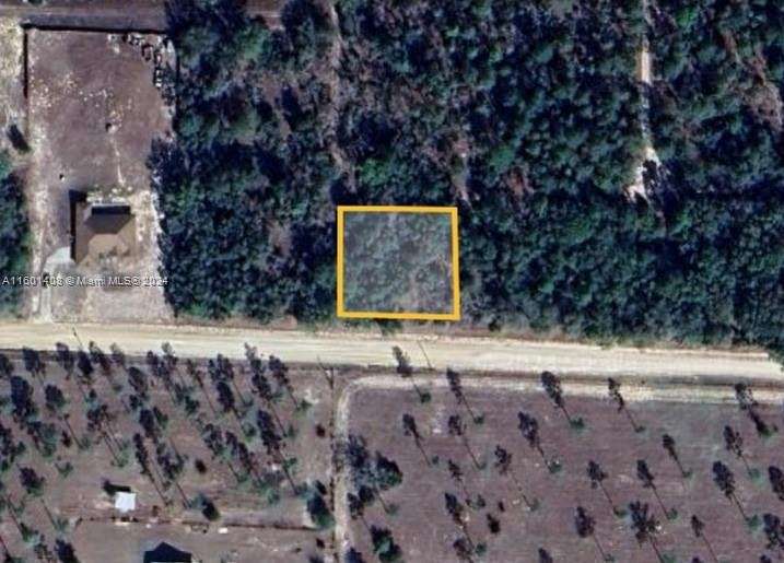 0.32 Acres of Land for Sale in Williston, Florida