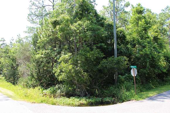 0.2 Acres of Land for Sale in St. Marks, Florida