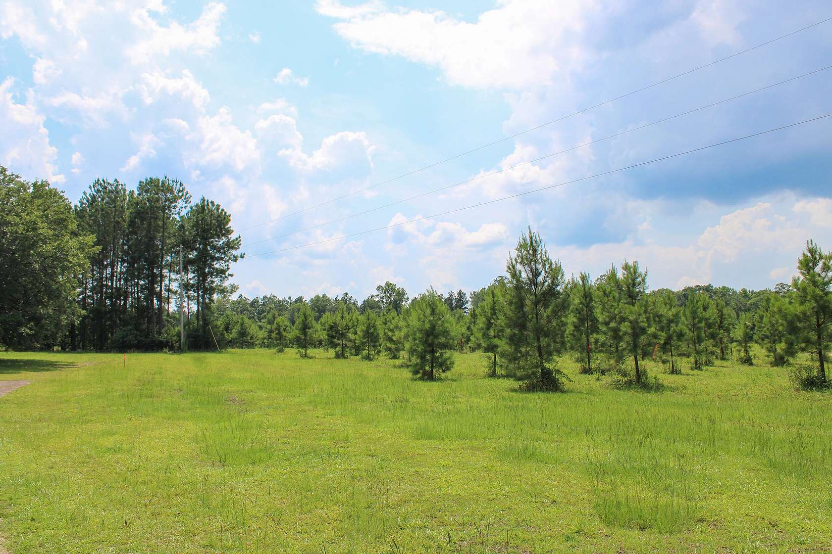 3.8 Acres of Residential Land for Sale in Petal, Mississippi