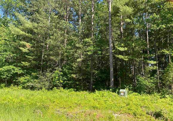 1.3 Acres of Residential Land for Sale in Willard, Wisconsin