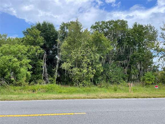 0.95 Acres of Residential Land for Sale in Kissimmee, Florida