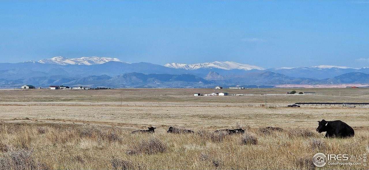 40 Acres of Land for Sale in Wellington, Colorado