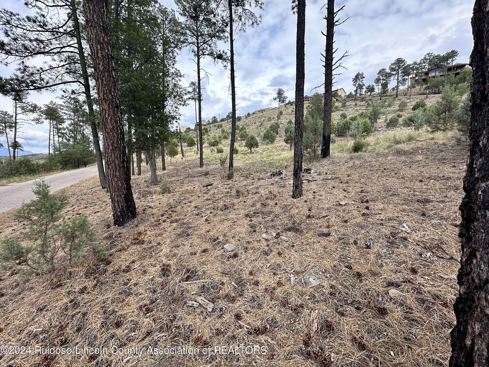 0.32 Acres of Land for Sale in Alto, New Mexico