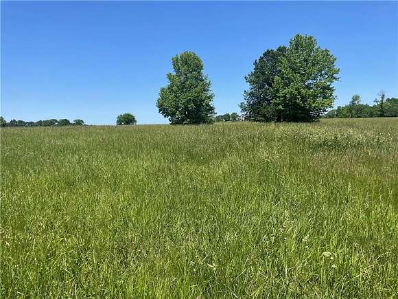 0.37 Acres of Residential Land for Sale in Altamont, Missouri