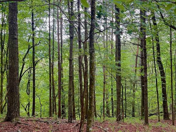 3.46 Acres of Land for Sale in Ellijay, Georgia