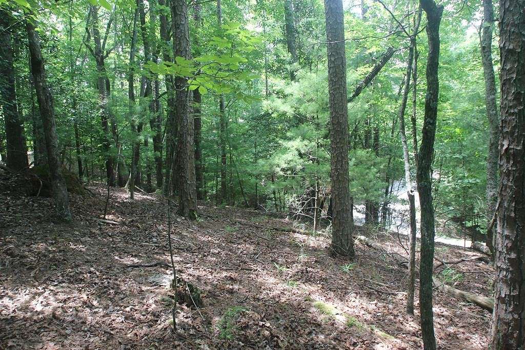 0.92 Acres of Land for Sale in Ellijay, Georgia