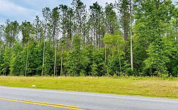 38.209 Acres of Land for Sale in Jasper, Florida