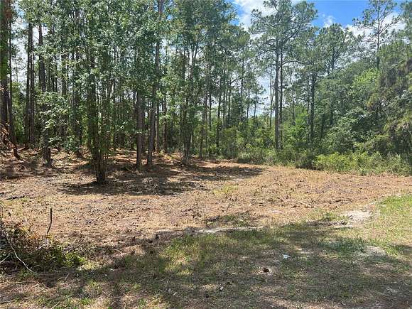 0.48 Acres of Residential Land for Sale in Webster, Florida