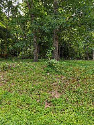0.5 Acres of Residential Land for Sale in Madison Heights, Virginia