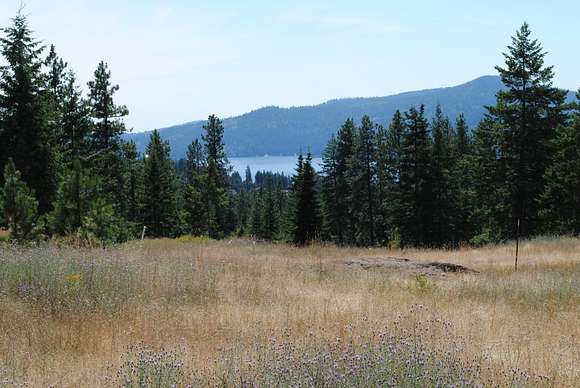 0.81 Acres of Residential Land for Sale in Harrison, Idaho