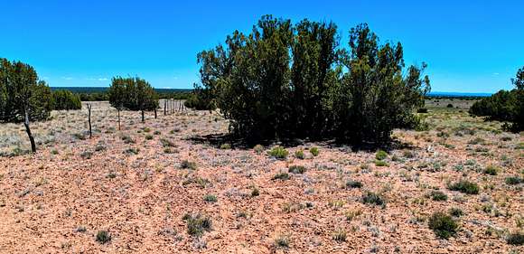 100 Acres of Recreational Land for Sale in St. Johns, Arizona
