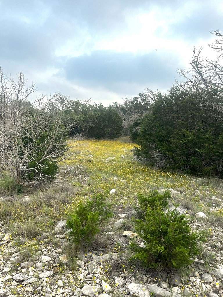 30.1 Acres of Recreational Land & Farm for Sale in Rocksprings, Texas