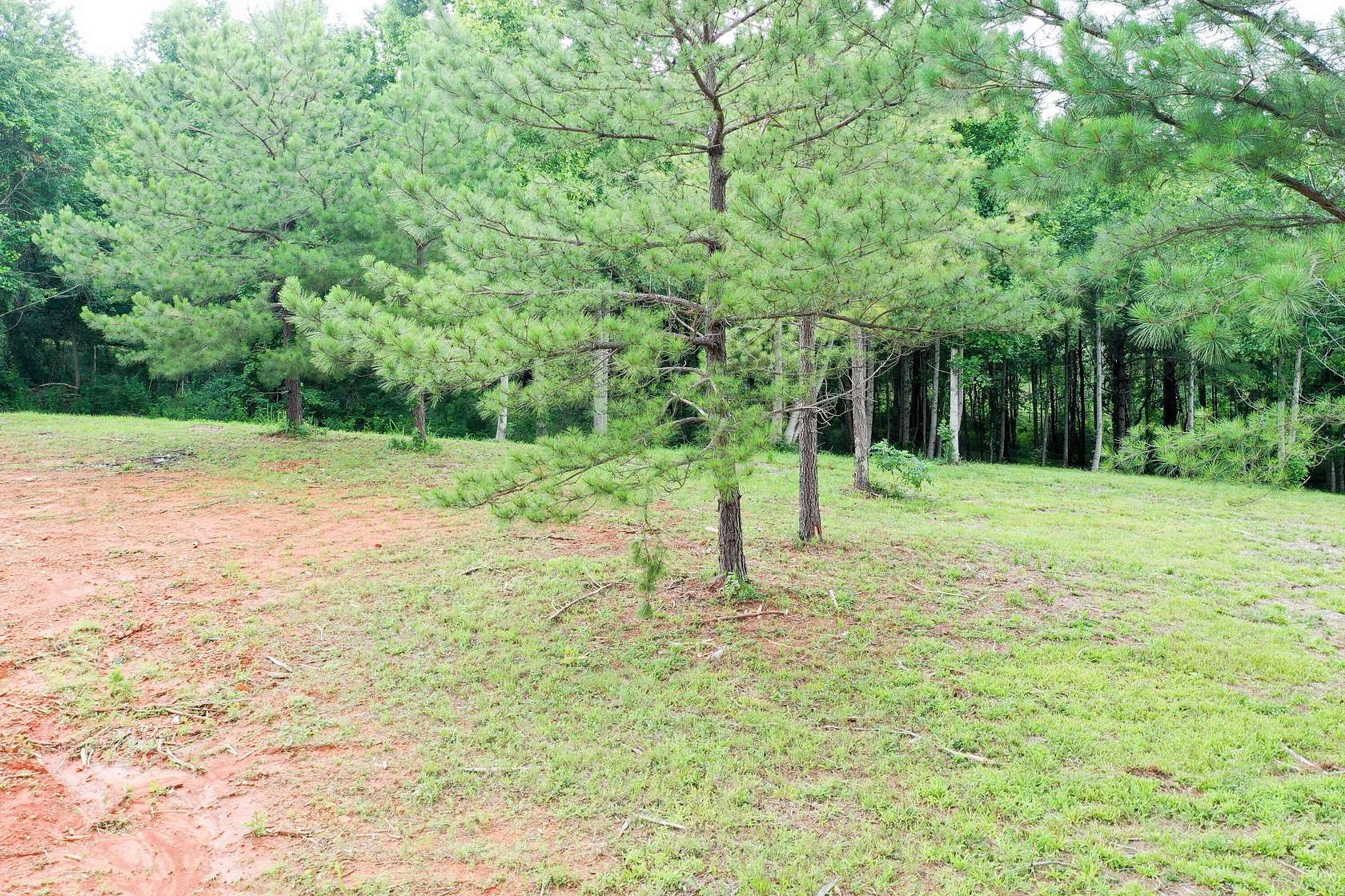 5.46 Acres of Land for Sale in Tompkinsville, Kentucky