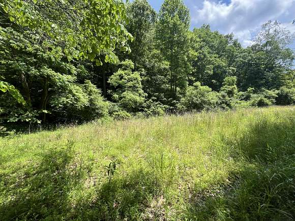 80 Acres of Recreational Land & Farm for Sale in West Liberty, Kentucky