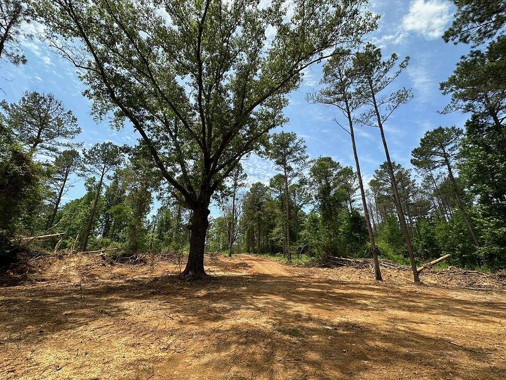 17.1 Acres of Land for Sale in Canton, Mississippi