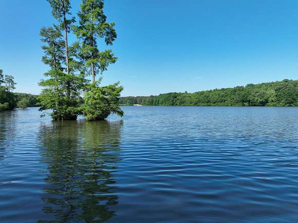 200 Acres of Agricultural Land for Sale in Ashland, Mississippi